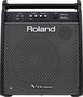Roland-PM-200-Personal-Monitor