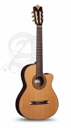 Alhambra CS 1 CW E8 Crossover Gitaar incl. Gigbag