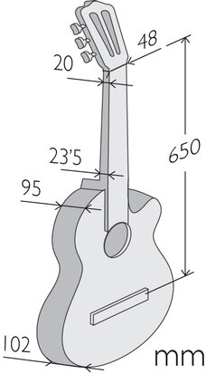 Alhambra CS 1 CW E8 Crossover Gitaar incl. Gigbag