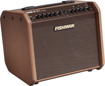 Fishman Loudbox Mini Amplifier Pro LBC 500 op Batterij