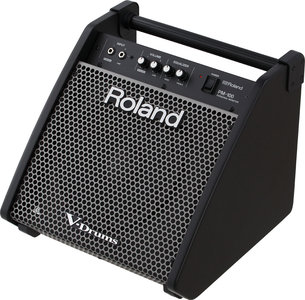 Roland PM 100 Personal Monitor