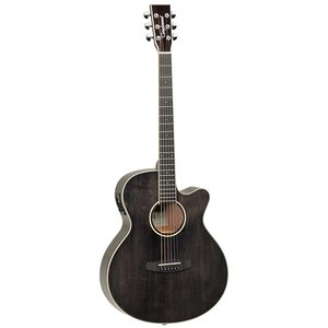 Tanglewood Winterleaf EBS Semi Akoestische Gitaar