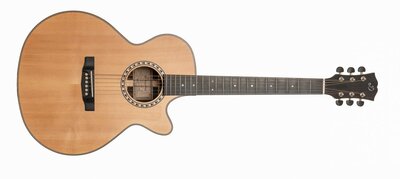 Dowina Danubius DC Antique Series Gitaar