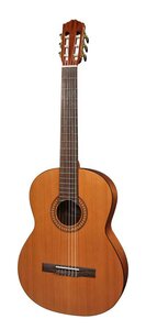 Salvador Cortez CC 22L Artist Series klassieke gitaar