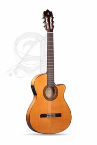 Alhambra 3F CT E1 Flamenco Gitaar