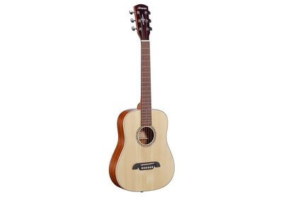 Alvarez RT26 Regent Travel Sized Dreadnought Akoestische Gitaar