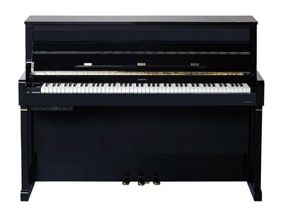 Medeli UP805 GBK Forte Series Digitale Staande Piano