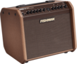 Fishman-Loudbox-Mini-Amplifier-Pro-LBC-500-op-Batterij