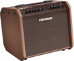 Fishman Loudbox Mini Amplifier Pro LBC 500 op Batterij