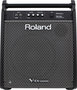 Roland PM 200 Personal Monitor