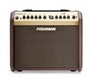 Fishman Loudbox Mini Amplifier Pro LBT 500