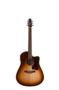 Seagull Entourage Autumn Burst CW Presys II Gitaar