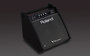 Roland PM 100 Personal Monitor_