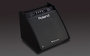 Roland PM 200 Personal Monitor_