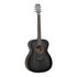 Tanglewood Blackbird O Akoestische Gitaar_