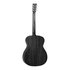 Tanglewood Blackbird O Akoestische Gitaar_