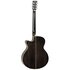 Tanglewood Winterleaf EBS Semi Akoestische Gitaar_