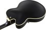 Ibanez AF75G BKF Hollow Body Electrische Gitaar_