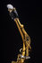 Selmer SUPREME Alt Saxofoon_