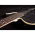 Michael Kelly 1954 Satin Black Wash Electrische Gitaar MK54SBWERU_