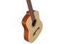 Alvarez RT26 Regent Travel Sized Dreadnought Akoestische Gitaar_