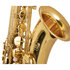 Trevor James The Horn Tenor Saxofoon_