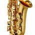 Yamaha YAS 480 Alt Saxofoon_