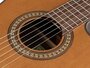 Salvador Cortez Ilsa CCE Electrisch Akoestische Klassieke Gitaar_