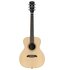 Alvarez RS26 Regent Akoestische Gitaar Natural_
