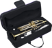 SML Paris TP500 Bb Trompet Messing met case_
