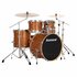 Ludwig Element Evolution 5pc 22" Drum set Copper Sparkle_