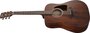 Ibanez AW54OPN Artwood Akoestische Gitaar_