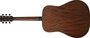 Ibanez AW54OPN Artwood Akoestische Gitaar_