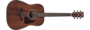 Ibanez AW54OPN Artwood Akoestische Gitaar_