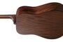 Ibanez AW54OPN Artwood Akoestische Gitaar_