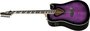 Ibanez ALT50FA Altstar Electrisch Akoestische Gitaar_