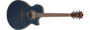 Ibanez AE100 DBF Electrisch Akoestische Gitaar_