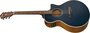 Ibanez AE100 DBF Electrisch Akoestische Gitaar_