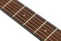 Ibanez AE100 DBF Electrisch Akoestische Gitaar_