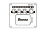 Ibanez AE100 DBF Electrisch Akoestische Gitaar_