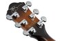 Ibanez JSA5 VB Joe Satriani Electrisch Akoestische Gitaar_