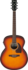 Ibanez PJ50E OAH Electrisch Akoestische Gitaar_