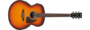 Ibanez PJ50E OAH Electrisch Akoestische Gitaar_