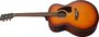 Ibanez PJ50E OAH Electrisch Akoestische Gitaar_