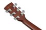 Ibanez PJ50E OAH Electrisch Akoestische Gitaar_