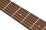 Ibanez PJ50E OAH Electrisch Akoestische Gitaar_