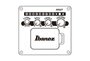 Ibanez PJ50E OAH Electrisch Akoestische Gitaar_
