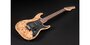 Michael Kelly CC 60 Burl Stealth Natural Burl Electrische Gitaar MK60CNBPRT_