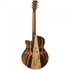 Tanglewood Exotic Java SFCE Semi akoestische Gitaar_